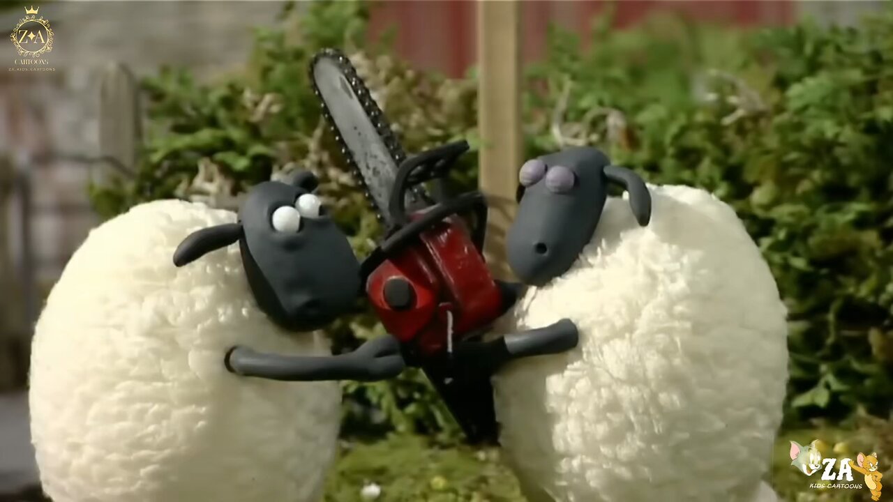 Shaun the sheep Cartoons