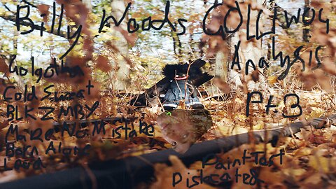 Analysis of billy woods' GOLLIWOG album pt.3