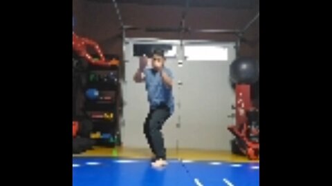 WTD Switchleg SnapHook Kick to Crescento Kick sequential