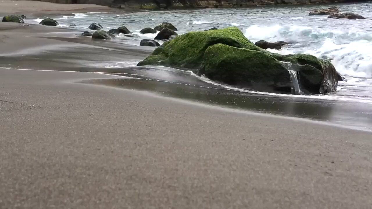 Sea Waves