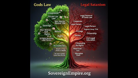 LEGAL SYSTEM is ALL Contract FRAUD! YOU MUST COMPREHEND CONTRACT LAW!