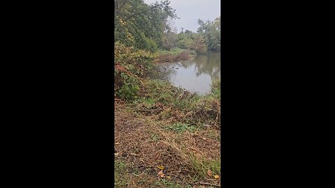 More Ducks at a Salt Creek Inlet