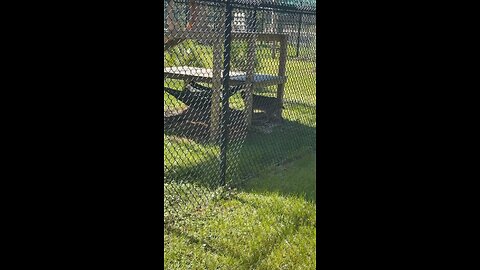 Busch Wildlife Center in Jupiter, Florida