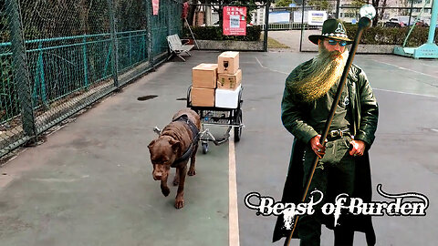 Beast of Burden ~Messed Up Remake~