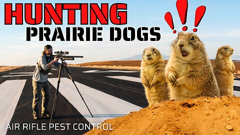 Hunting Prairie Dogs with the FX Leopard! | Pest Control with Air Rifles!