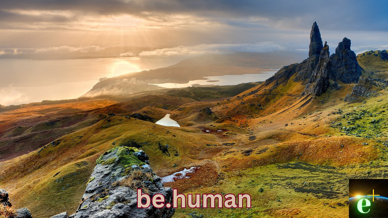 Emergency Announcement! e + Regarding FUTURE P/P Allegations, be.human