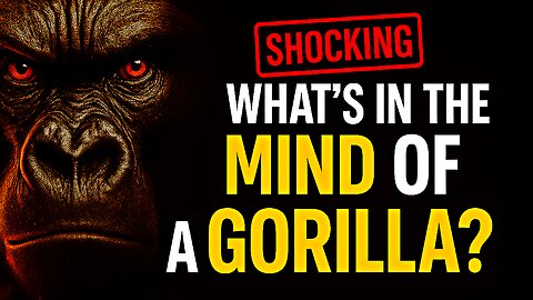 The Mind of a Gorilla - The Silent King of the Jungle