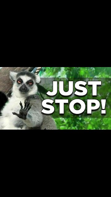 Coldplay Singer Chris Martin Reassures Israeli Fans They're Human Then Evokes Palestine To Be Fair