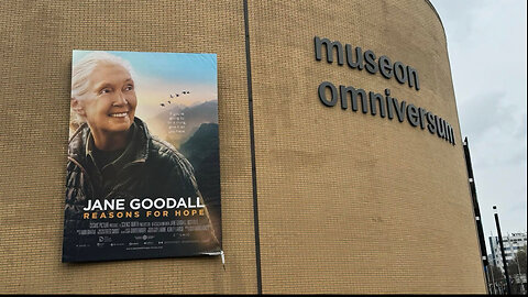 Jane Goodall expositie in Museon en Omniversum SDG HOUSE Den Haag