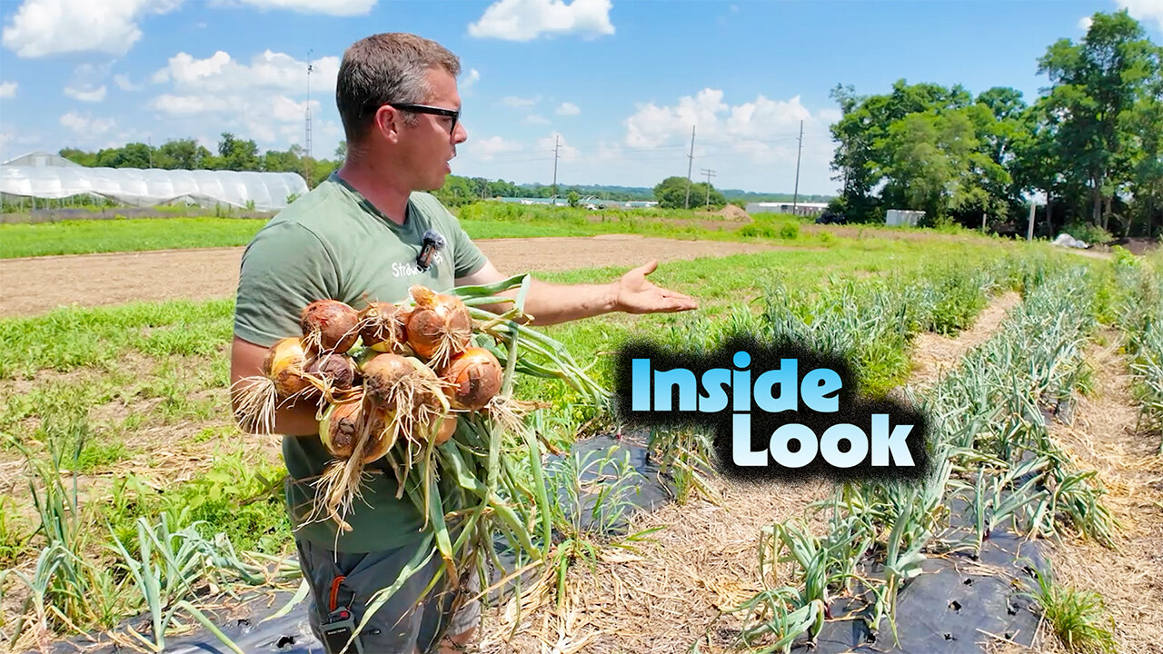 How This Small Ohio Farm Does Big Business