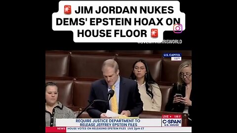 Congressman Jim Jordan nukes democrats about the Epstein hoax on the House floor.