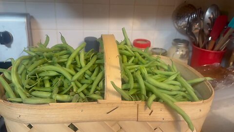 A Great Day To Can Green Beans