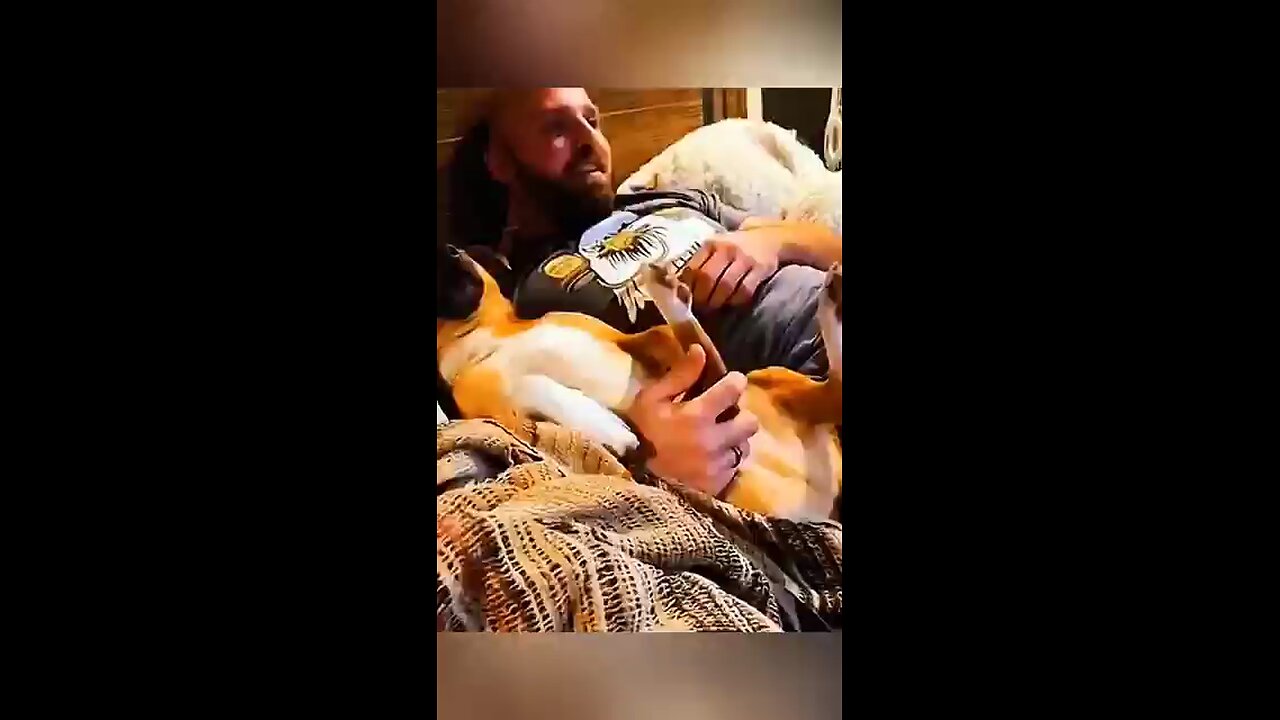 Funny video with dog | comedy with dog