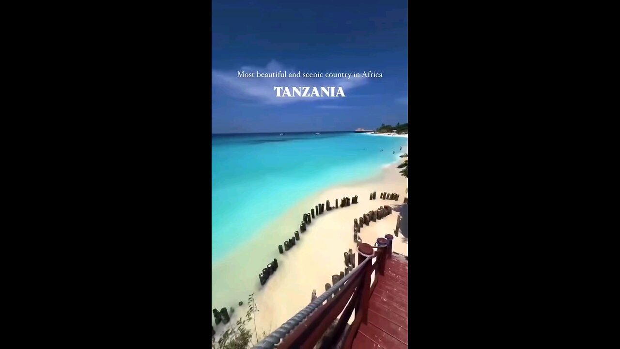Embark on Your Dream Adventure to Zanzibar, Tanzania! #ZanzibarVibes #TanzaniaParadise #short