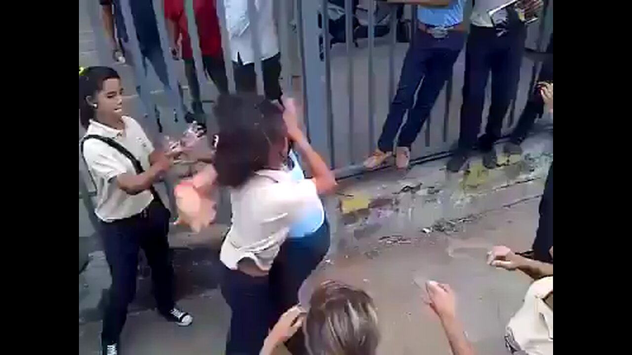 School Females Fight