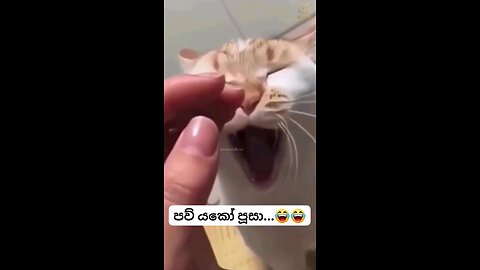 funny
