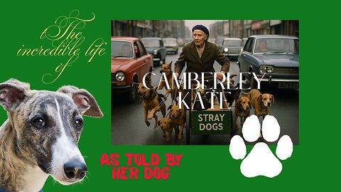 A Legend Who Saved 600 Dogs I Camberley Kate