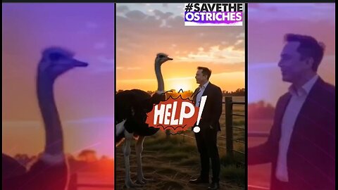 Why Aren't the Farmers ALLOWED to Test their Ostriches to Prove Healthy? Stand on Guard CLIP