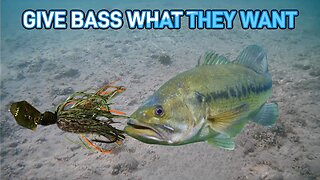 Give Bass What They Want