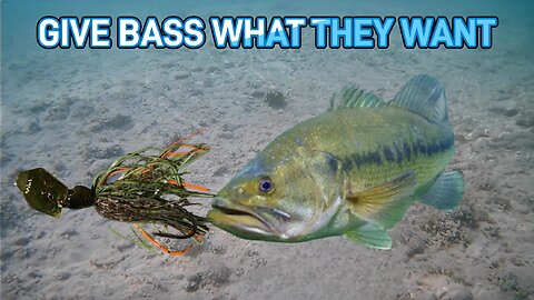 Give Bass What They Want