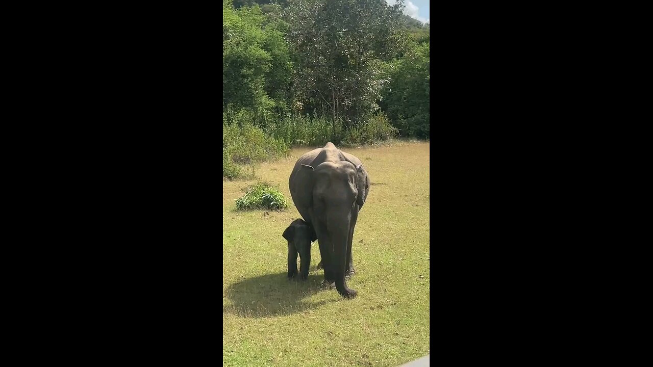 Welcome to Sri Lanka 🇱🇰