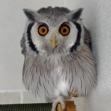 My shocked face 😱😊