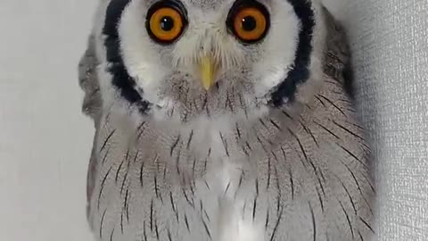 My shocked face 😱😊