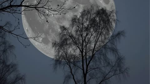 December 4, 2025 — The Cold Full Moon