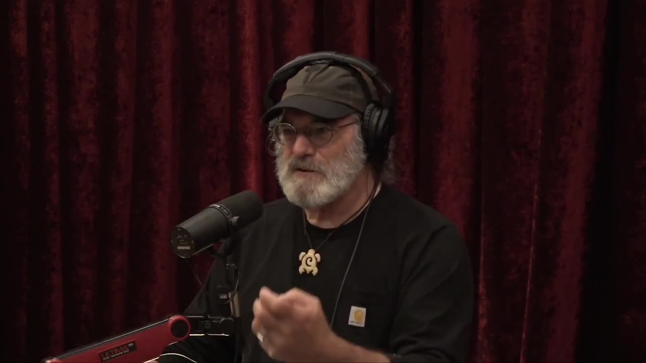 AI: Humanity's Future Partner? - Paul Stamets on Joe Rogan #community #future #kindness