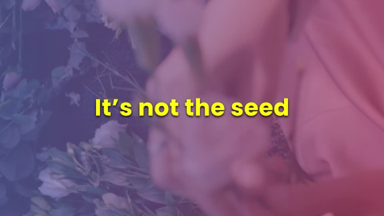The Soil You’re Planted In