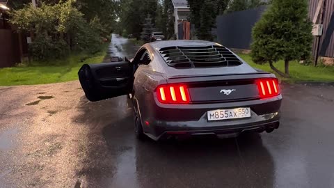 Pulling Our Daughter's Tooth With a Mustang