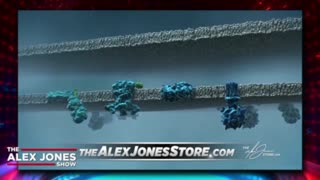 INFOWARS Shows