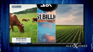 INFOWARS Shows