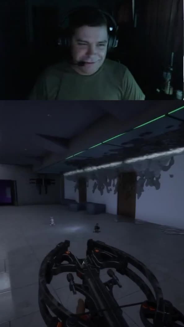 The Great Bunny Conspiracy