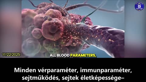 【HU】Kutatások kimutatták, hogy az ivermectin biztonságosan csökkentheti az agydaganatokat...