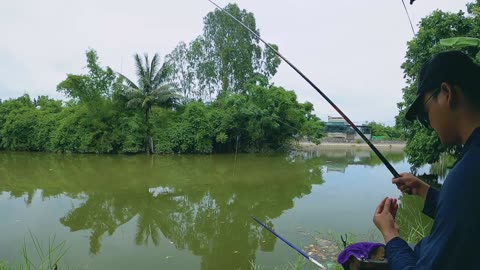 Trout Spin Fishing in Stream Rocky Pools
