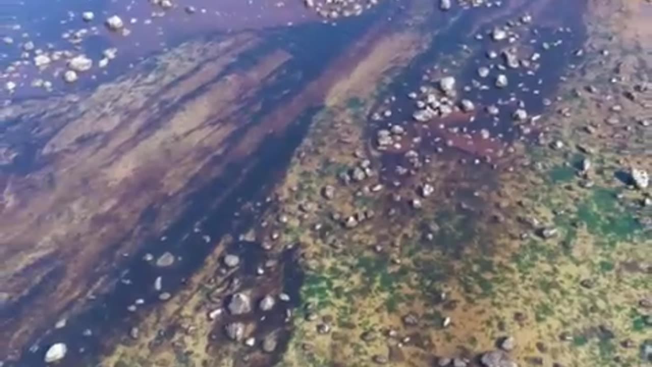 AKTUALITY Z MAINSTREAMU 25.-26.5.2025