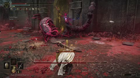 Elden Ring DLC | Romina, Saint of the Bud boss fight co-op w/2 cooperators on NG