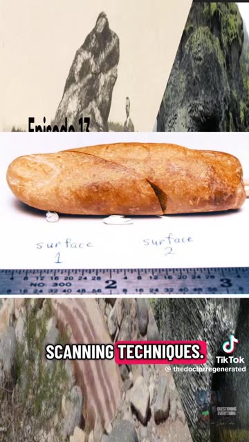 SOTHIS WAS A FOSSILIZED PETRIFIED FINGER AT THE CREATION MUSEUM IN TEXAS