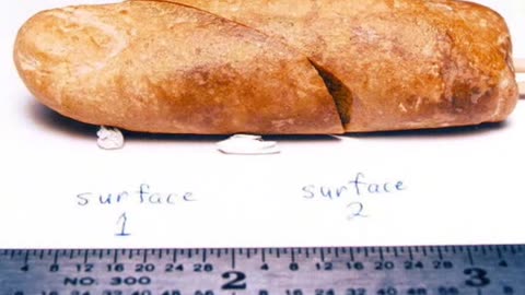 SOTHIS WAS A FOSSILIZED PETRIFIED FINGER AT THE CREATION MUSEUM IN TEXAS