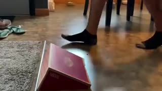 🏃‍♂️💥 Go!!! (Hilarious Reaction) | FunFM