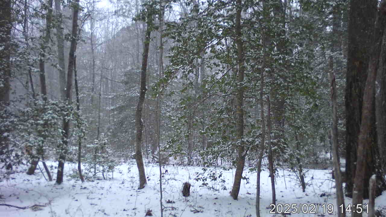 Snow