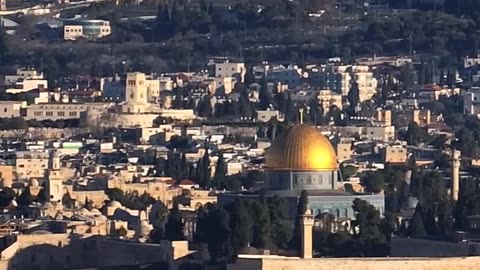 اللهم ارحم إخواننا في فلسطين - الشيخ صالح بن محمد السويح