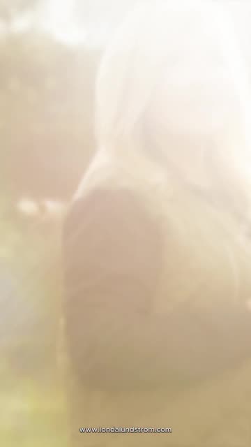 Promise Over Problem