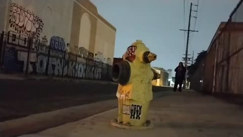 Thing filming shots at random locations in LA (tumblr'in it up on the fishnet boards!)