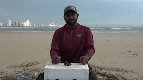Rigging Crab For Crackers