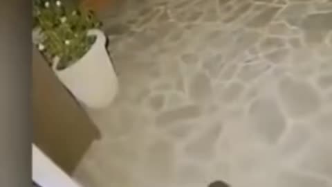 😨🧟 What Is That Creature? Unseen Paranormal Entity! | TheHauntingHour