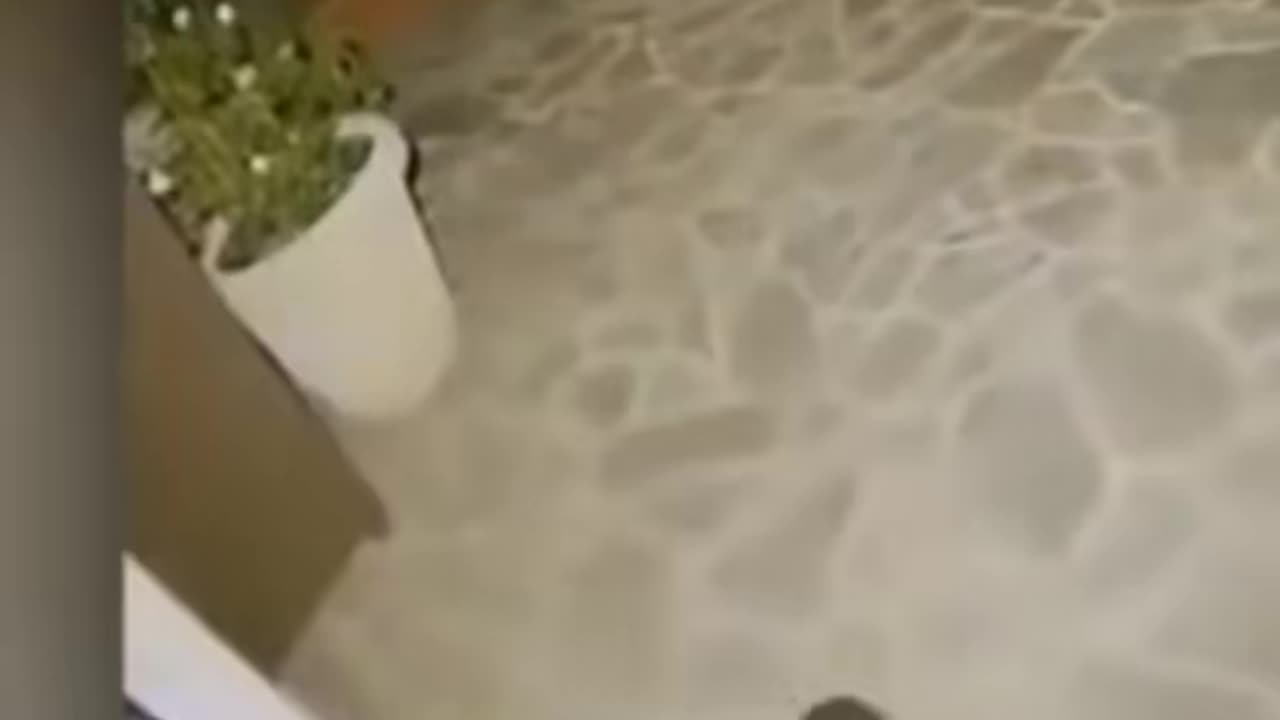 😨🧟 What Is That Creature? Unseen Paranormal Entity! | TheHauntingHour