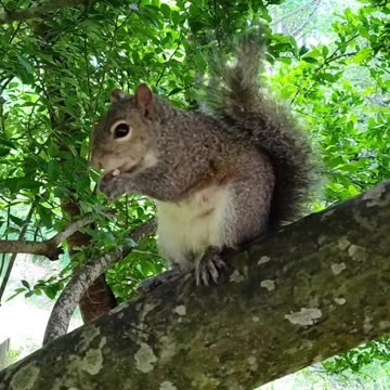 Isn't she cute and adorable!? 🥰