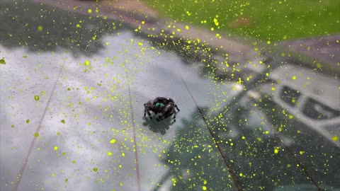 A Cool Moment with Spidy